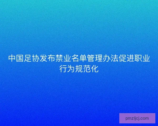 中国足协发布禁业名单管理办法促进职业行为规范化