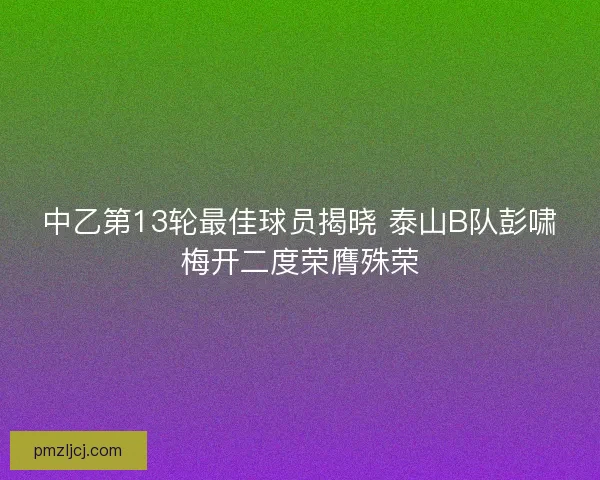 中乙第13轮最佳球员揭晓 泰山B队彭啸梅开二度荣膺殊荣